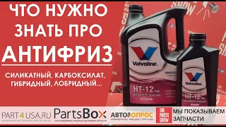 Что нужно и что важно знать про антифризы? Какие бывают и какой тип самый инновационный?