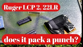 Ruger LCP 2, lite rack 22LR, does it pack a punch? will it cycle with Federal punch ammunition?