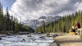 Sill Logs for the new LOG CABIN | The MOUNTAINS are Calling!