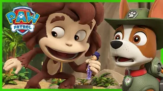 Pups Save Humdinger from a Giant Monkey! | PAW Patrol | Cartoons for Kids Compilation
