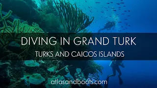 Diving in Grand Turk, Turks and Caicos Islands