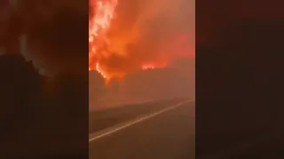 ⚡️ The fires in the Minusinsk district of Krasnoyarsk are extremely severe #shorts