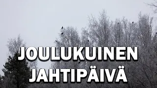 Joulukuinen linnunpyyntipäivä. Turinointia ja yksinpuhelua.