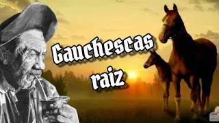 As melhores do sul / gauchesco raiz /vol.2