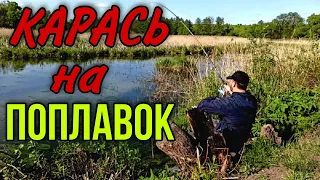 ЛОВЛЯ КАРАСЯ НА ПОПЛАВОЧНУЮ УДОЧКУ. РЫБАЛКА ИЗ ДЕТСТВА. рыбалка на поплавок в мае