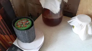Как вылечить чайный грибок от плесени.