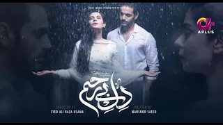 Dil-e-Bereham full song OST hum tv all song