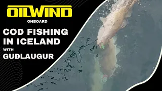 OILWIND onboard - Cod Fishing in Iceland with Guðlaugur