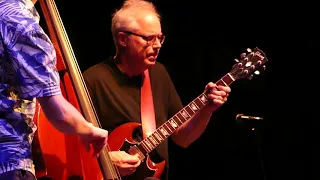 Bill Frisell Trio, Roma, 2019