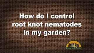 Q&A – How do I control root knot nematodes in my garden?