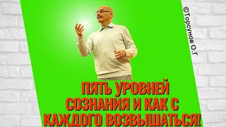 Пять уровней сознания и как с каждого возвышаться! Торсунов лекции