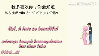 i like you so much, you'll know it - A Love So Beautiful OST (Mandarin Ver.) KARAOKE