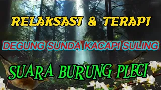 RELAKSASI DAN TERAPI DEGUNG SUNDA KACAPI SULING DAN SUARA BURUNG PLECI