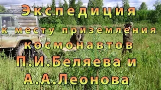 Короткий 8 мин. Интересные находки на месте приземления Беляева и Леонова