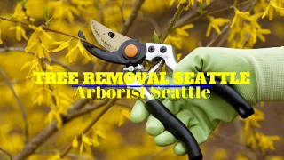 Arborist Seattle - Tree Removal Seattle