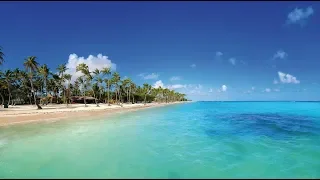BARCELO BAVARO BEACH 5* - Барсело Баваро Бич - Доминикана, Пунта-Кана | видео отеля, территория