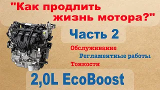 2,0L EcoBoost - Как продлить жизнь мотора? Обслуживание, регламентные работы, тонкости - Часть 2