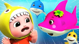 🦈 Baby Shark | Baby Shark Doo Doo Doo Dance + More Baby ChaCh Nursery Rhymes & Kids Songs