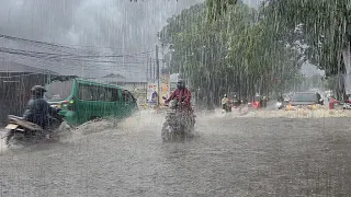 heavy rain flooded my village again | very exciting and cool, fell asleep to the sound of heavy rain