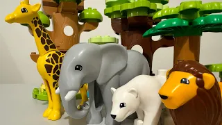 Animal duplo Lego adventure across the world’s continents
