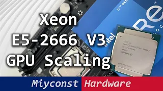 🇬🇧 E5-2666 V3, i3-12100, i7-12700k | GTX 1060, RTX 2080, RX 6800XT: GPU Scaling Benchmark