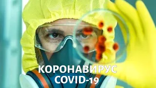 COVID-19: Популярные вопросы: Можно ли гулять, коронавирус у детей, вирусная/бактериальная пневмония