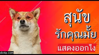 10 พฤติกรรมสุนัข พฤติกรรมหมา สุนัขทำไมต้องทำ