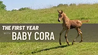 The First Year with Baby Cora at SKE Rescue