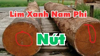 Gỗ Lim Xanh Nam Phi có tốt không, Gỗ Lim làm Trường Kỷ có được Không| Đồ gỗ Gia Vũ