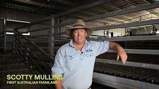 Shearing Shed Fit-Out | Making shearing EASIER for First Australian Farmland |Digby, VIC