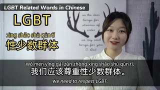 LGBT Related Words & Phrases in Mandarin Chinese (we can use in daily Chinese conversations)