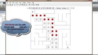 AIS Based Algorithm for Path Finding in Maze