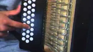 Soldado Blanco Acordeon (Arley Perez)