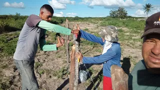 VALQUÍRIA NALDO E JOÃO PEGARAM E TERMINARAM A CERCA E AS PALMAS PEGARAM