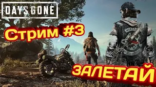 DAYS GONE  ЖИЗНЬ ПОСЛЕ   ПРОХОЖДЕНИЕ/СТРИМ #3