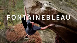 Trip To Paradise | Fontainebleau Highlights 6A - 7B