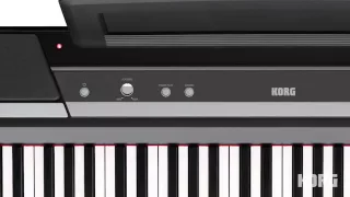 Korg SP170S Digital Piano -- A Student's Perspective