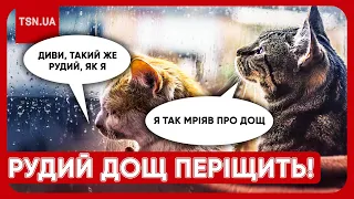 😱🌧 НУ І ПОГОДКА!  З неба падав рудий дощ! Україну заливає! Які наслідки і коли нарешті тепло??