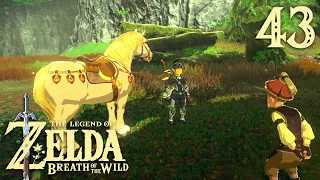 Лошадь Зельды ※ The Legend of Zelda: Breath of the Wild #43