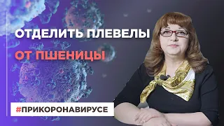 Отделить плевелы от пшеницы | При коронавирусе