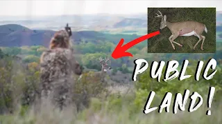 Hunting Public in S. Dakota | PERFECT SHOT!
