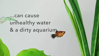 API STRESS ZYME | Reduce aquarium maintenance