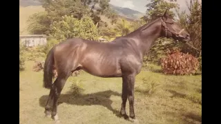 Así llegó MISTER BYRON a Valencia