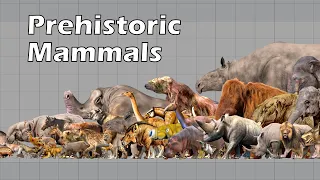 Size Comparison of Animals, the Prehistoric Mammals