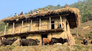 Routine of Nepali village life| Remote Rural Himalayan village life| Life in Rural village Lifestyle