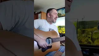 Shine On You Crazy Diamond - David Gilmour (acoustic cover)