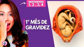 1º MÊS DE GRAVIDEZ | Tem como saber que esta grávida, apertando a barriga? | Boa Gravidez