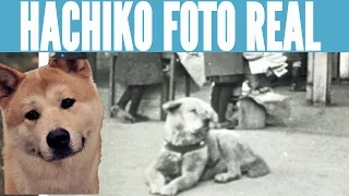 Hachiko: Foto inédita guardada durante 80 años de Hachiko - fotos reales de akita