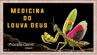 Medicina e meditação do Louva- deus