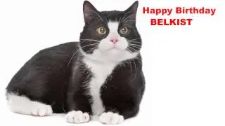 Belkist  Cats Gatos - Happy Birthday